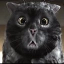 ���� ����, ������� ������, 56 ��� - ��������� 25 ������ 2018 � ������ ������ ��������