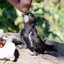 ���� ����, �������, 59 ��� - ��������� 25 ������ 2018 � ������ ������ ��������