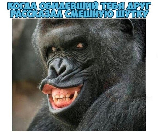 �����? ��, �� �������! - 24 ������ 2018 � 16:37