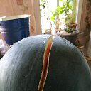 ���� �������, ����, 54 ���� - ��������� 18 �������� 2018 � ������ ���� ����������