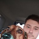 ���� �������, ����� - ��������� 17 ������� 2019 � ������ ���� ����������