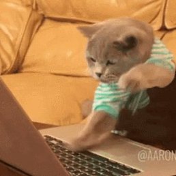 ���� ���, ����, 44 ���� - ��������� 24 ������� 2018