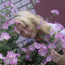 �����, ������, 49 ���