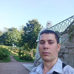 �����, �����-���������, 38 ���