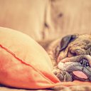 ���� �������, ������, 69 ��� - ��������� 27 ������� 2018 � ������ ���� ����������