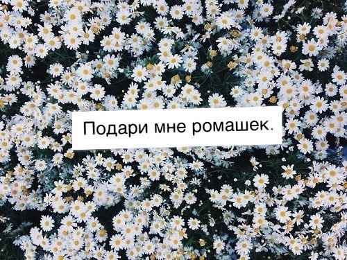 ***Victoria Viktorovna*** - 16  2018  08:20