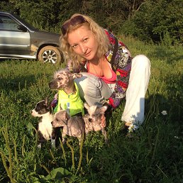 ���� �����, ������������� - ��������� 31 ������� 2018