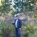  C, , 65  -  8  2018   -.   .