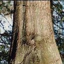  ••,  -  13  2018   - ))