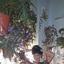 ���� �����, ������-��-����, 50 ��� - ��������� 14 ������ 2019 � ������ ���� ����������