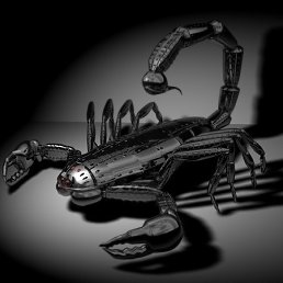 ���������, �������, 42 ����