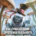 ���� ����, �����������, 38 ��� - ��������� 2 ������� 2018 � ������ ���� ����������