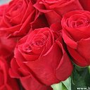  Antoniy, , 75  -  6  2019    