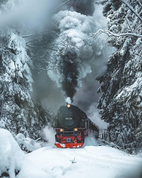 Harz National ark