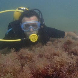 ������, �����, 45 ���