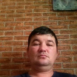 ����, ���������, 46 ���