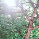  ,  , 50  -  27  2018    