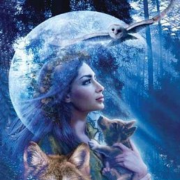 ����, ������, 51 ���