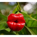 ���� ��������, ��������� - ��������� 11 ����� 2019 � ������ ������ ��������