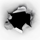  Xraptor, , 41  -  19  2018