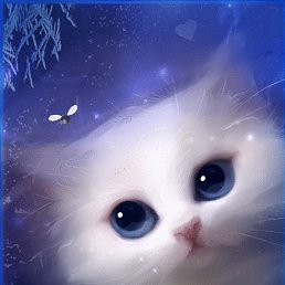 �����, �������, 25 ���