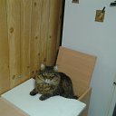 ���� ������, �����, 59 ��� - ��������� 20 ������� 2018 � ������ ���� ����������