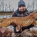 ���� ����, ���� - ��������� 19 ������ 2019 � ������ ���� ����������