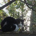 , , ,&quot; &quot;04.11.18.8.50.    - 2018