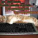 ����� ������� ����������� � ��������������, ������� ���� �������� �� ���, ����� ������� ��������� � ���������.+ *������ ����� �����* ������ ������(�����) http://ok.ru/poeziyast �� ������� ������ ������� ����������� � ��������������, ������� ���� �������� �� ���, ����� ������� ��������� � ���������.+ *������ ����� �����* ������ ������(�����) http://ok.ru/poeziyast�