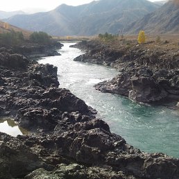 ����, �������, 65 ���