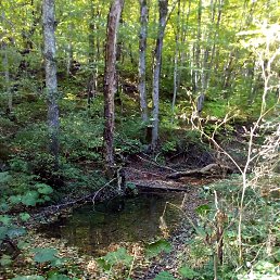 ���� �������, �������, 51 ��� - ��������� 10 ����� 2019