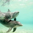 ���� �����, ��������� - ��������� 22 ������� 2018 � ������ ����� -- ��� ���� !!!!!!!!!!�