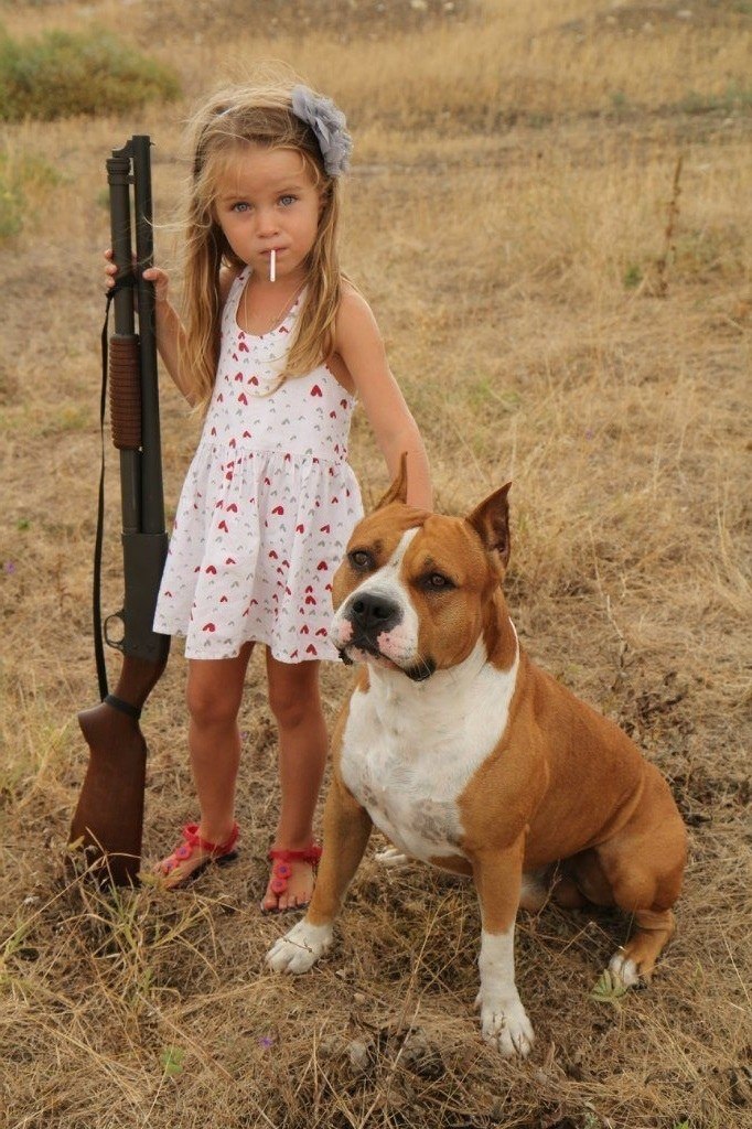 He дepжи зла. Держи питбyля и дpобовик. И помни: никакой aгрессии