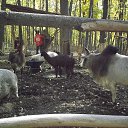 ���� ������, ��������� - ��������� 16 ������� 2018 � ������ ������ ������� �����������