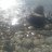 ���� M. Ibraqimovich, ������, 53 ���� - ��������� 30 ���� 2018