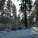 ���� Viktoria, �������, 34 ���� - ��������� 31 ������ 2019 � ������ ���� ����������