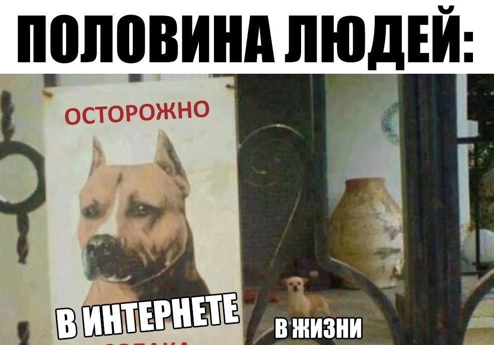    :D - 10  2019  16:58