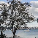���� �����, ������, 64 ���� - ��������� 20 ������� 2018 � ������ ���������� 2018�