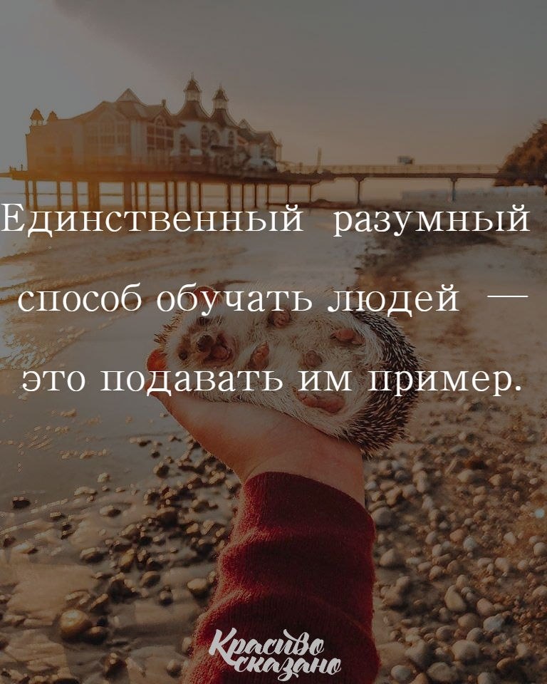   . . . - 19  2018  16:37