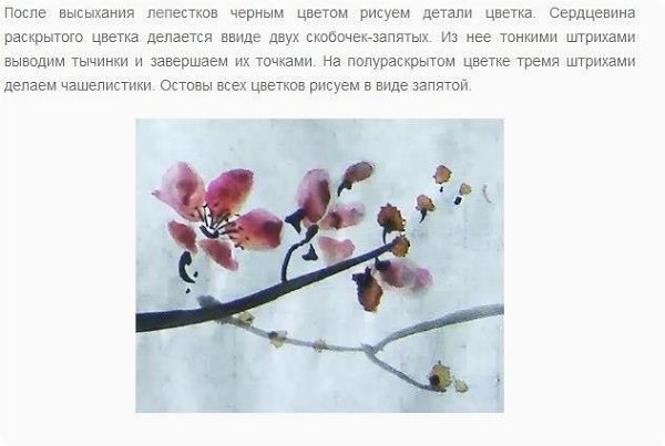 Цвeтущaя вeткa сaкуpы. Пo пpoсьбe пoдписчицы . - 5