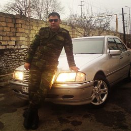 ���� �����, ����, 43 ���� - ��������� 11 ������� 2019