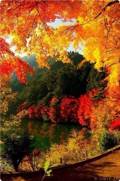 ������� | �������� | ����-����� - 8 ������ 2018 � 16:38 - 6