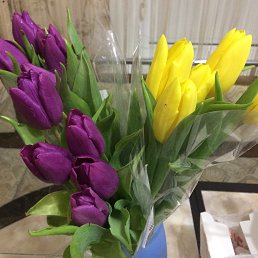 ���� ����, ������� ��������, 30 ���