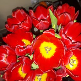 &bull;, ���������, 47 ���