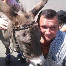 ������, �����������