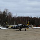  Sl Vivacobra, , 53  -  28  2019    