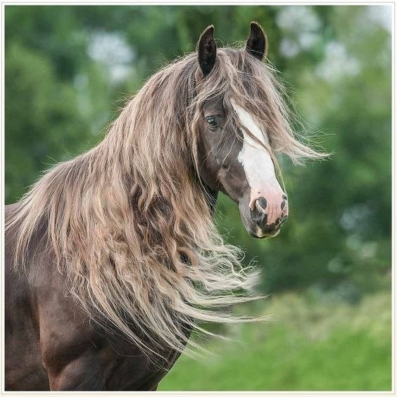  -   ! - 3  2018  16:23