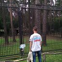 ���� �������, �����������, 42 ���� - ��������� 17 ������� 2019 � ������ ���� ����������