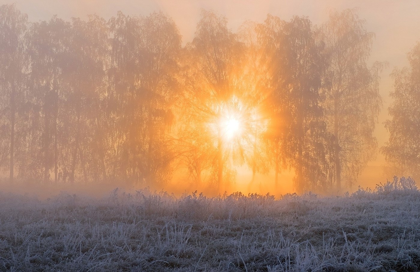   - 18  2018  16:41