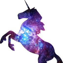 ����, �������, 25 ���